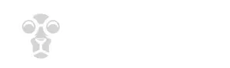 Parhaat Kasinot 2026 – Top 10 Nettikasinot Suomalaisille
